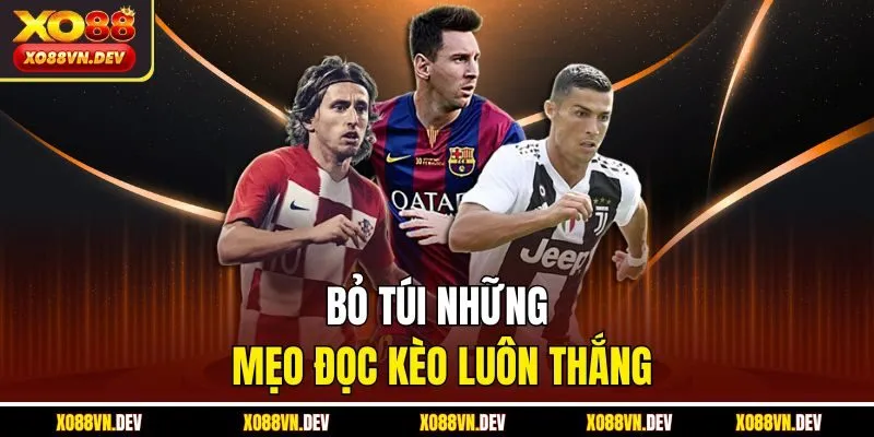 bo-tui-nhung-meo-doc-keo-luon-thang