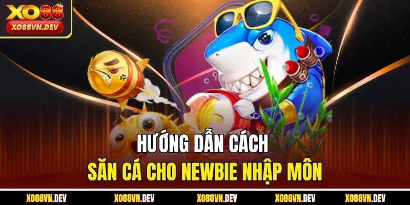 huong-dan-cach-san-ca-cho-newbie-nhap-mon