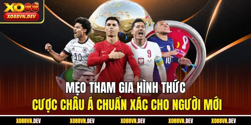 meo-tham-gia-hinh-thuc-cuoc-chau-a-chuan-xac-cho-nguoi-moi