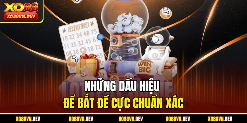 nhung-dau-hieu-de-bat-de-cuc-chuan-xac