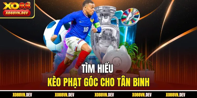 tim-hieu-keo-phat-goc-cho-tan-binh