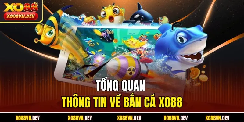 tong-quan-thong-tin-ve-ban-ca-xo88