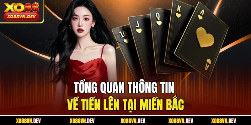 tong-quan-thong-tin-ve-tien-len-tai-mien-bac