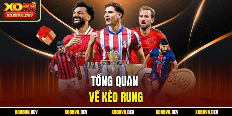 tong-quan-ve-keo-rung